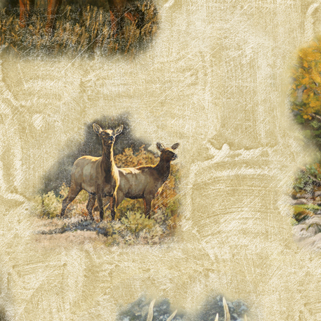 MINKY PRINTS             